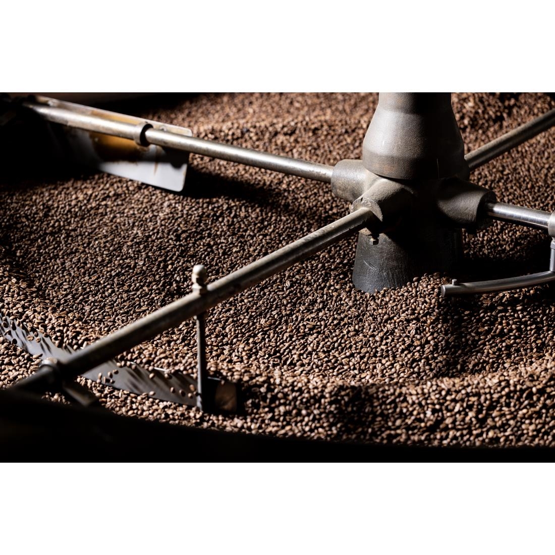 mezclar-barista-tools-caf-grains-classico-1kg image 8